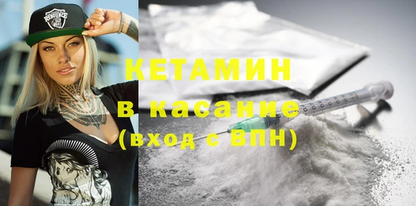сатива Балахна