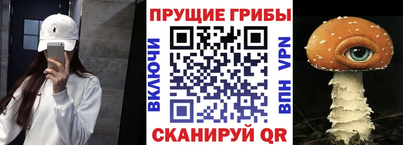 Псилоцибиновые грибы GOLDEN TEACHER  купить закладку  Королёв 